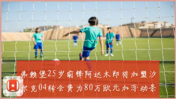 弗赖堡25岁前锋阿达木即将加盟沙尔克04转会费为80万欧元加浮动条件